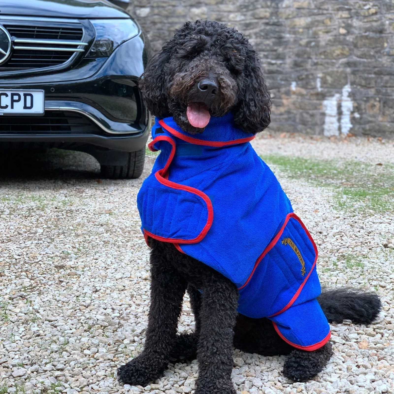 Classic Dog Drying Coat Blue