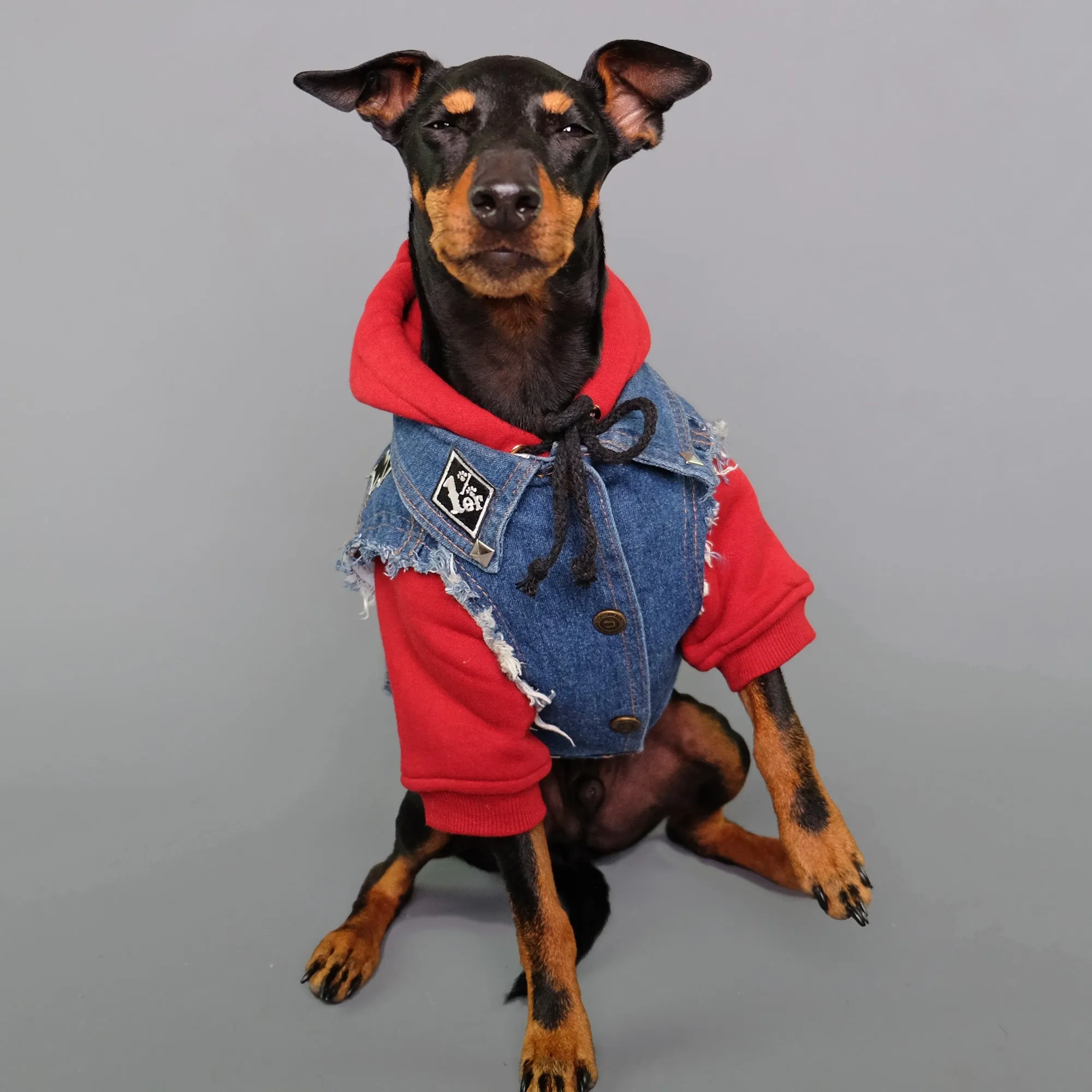 Maroon-ed Red Dog Hoodie