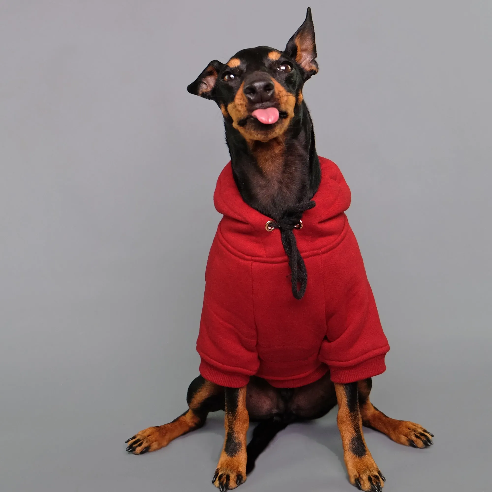 Maroon-ed Red Dog Hoodie