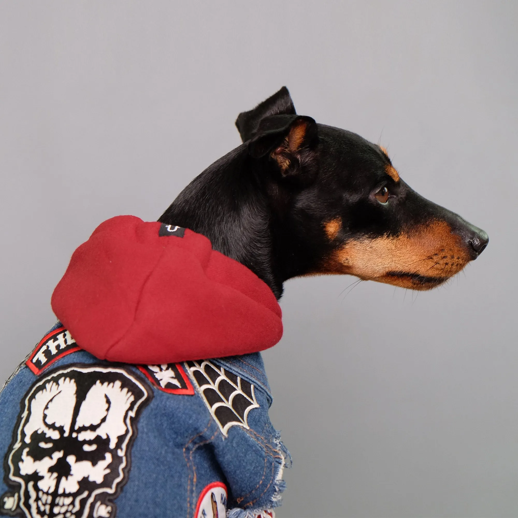Maroon-ed Red Dog Hoodie