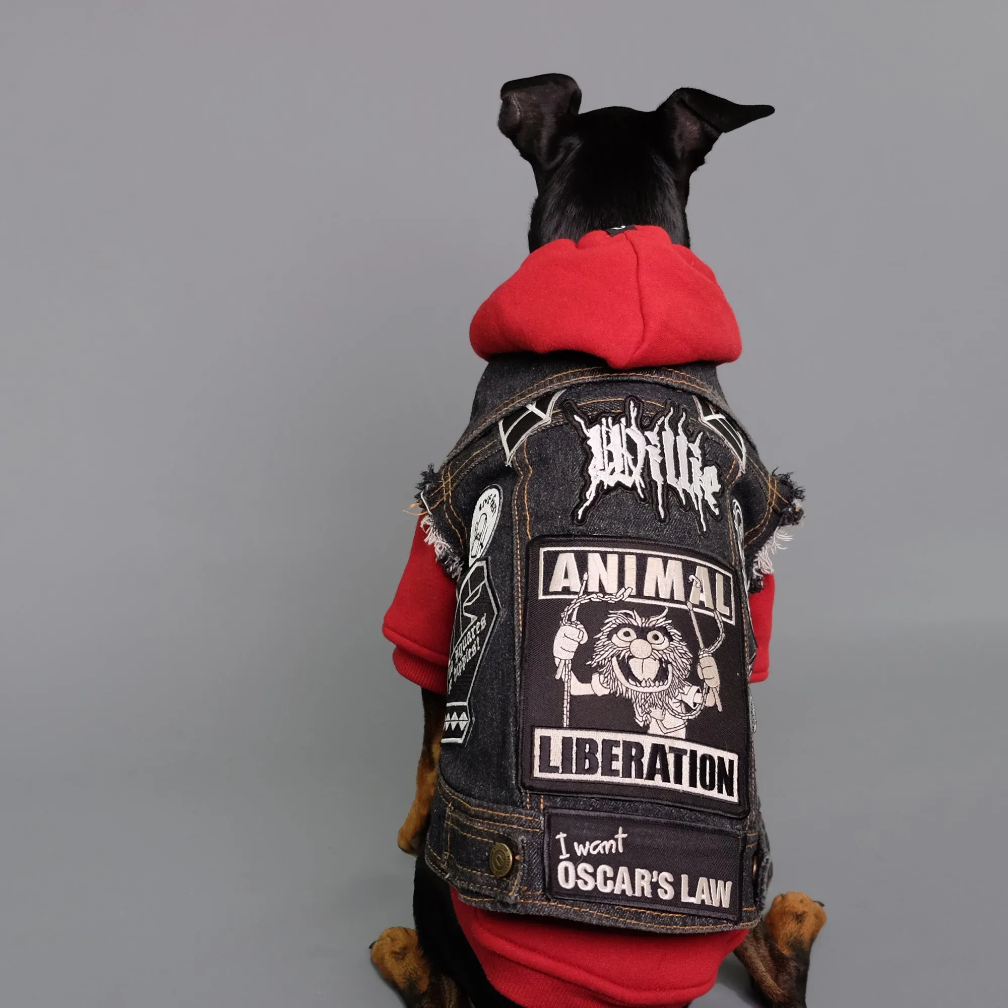 Maroon-ed Red Dog Hoodie